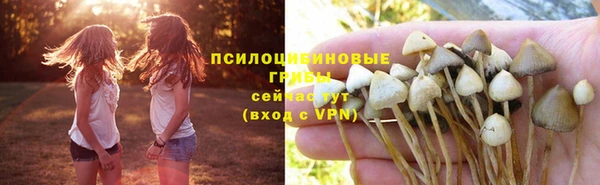 мет Дмитров