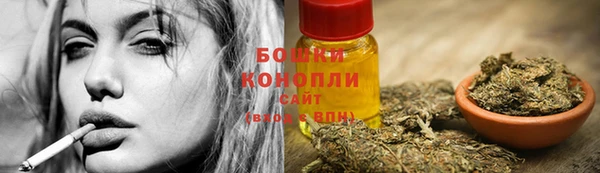 СК Дмитровск