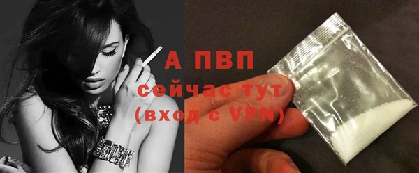 мет Дмитров