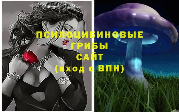 мет Дмитров